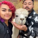 Denver, Colorado alpaca adventures today