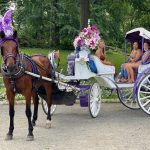 New York carriage rides 2024